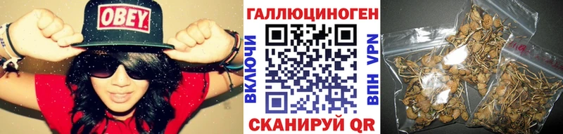 хочу   это какой сайт  Псилоцибиновые грибы MAGIC MUSHROOMS  Ленинск 